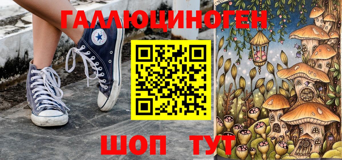 Псилоцибиновые грибы Cubensis Людиново
