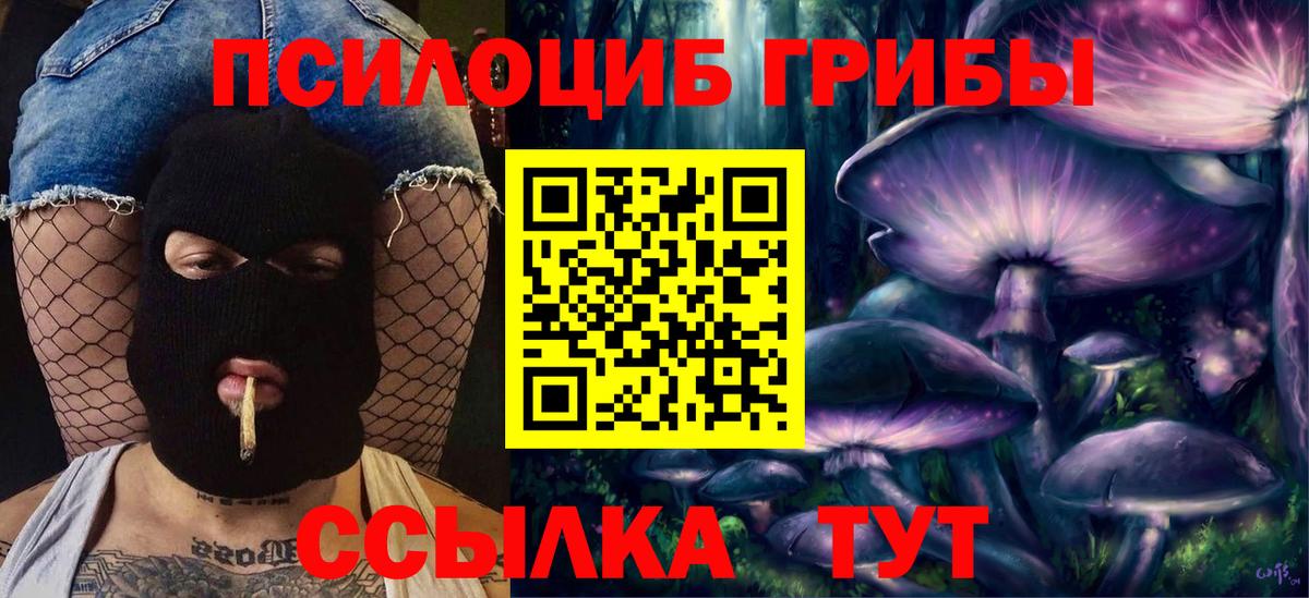 Людиново  Псилоцибиновые грибы Psilocybine cubensis  Вход с VPN  Псилоцибиновые грибы Cubensis 